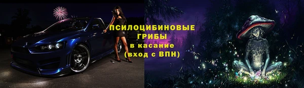 прущие грибы Нягань