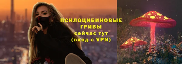 прущие грибы Нягань