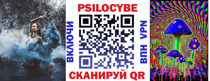 где можно купить   Цивильск  Галлюциногенные грибы мухоморы 